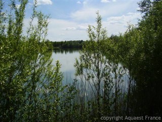 AQ-269 lake Amour