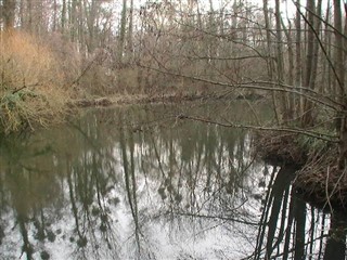 AQ-261 étang du Bosquet