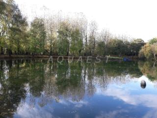 Etang des Peupliers AQ-347