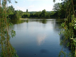 AQ-329 Etang du Colvert