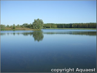 AQ-203 étang de Froimont