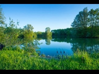 AQ-317 etang Bourbon