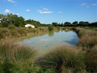 AQ-301 Etangs Pisciculture de la Fontaine