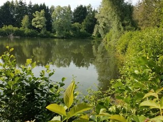 AQ-335 Etang des CHEVALIERS