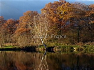 AQ-309 domaine de Chantilly copie