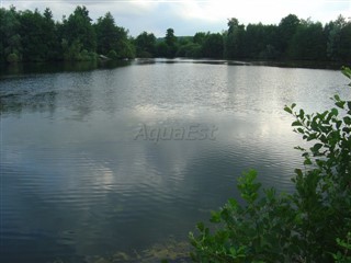 AQ-321 Etang de Bucy