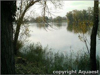 AQ-287 Etang du ROY