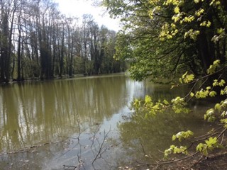 AQ-318 Etang du Héron