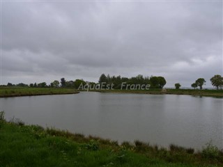 AQ-299 étang du Dolmen