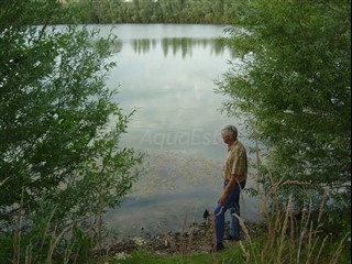 AQ-304 Etang des Sarcelles