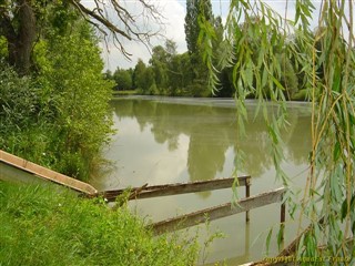 AQ-276 étang de Toulis